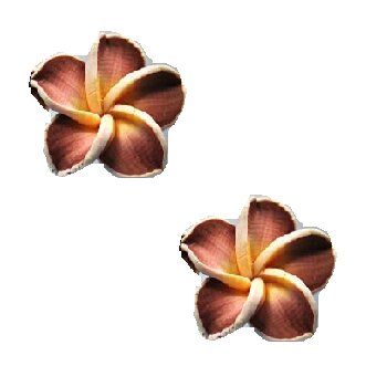 1 Paar FIMO Blüten Ohrstecker weiß mocca gelb XL im...