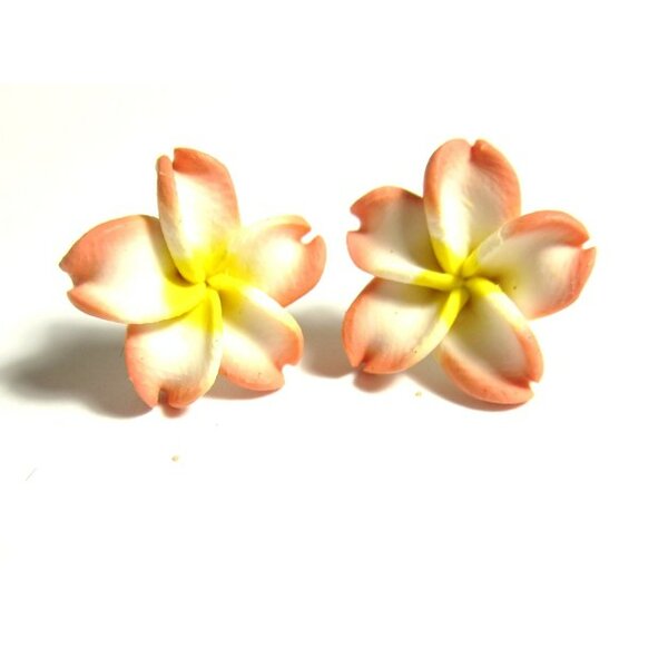 1 Paar FIMO Blüten Ohrstecker braun weiß gelb XL  im Organza Beutel
