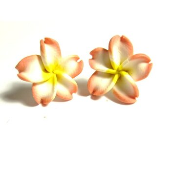 1 Paar FIMO Blüten Ohrstecker braun weiß gelb XL  im...