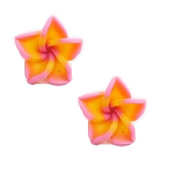 1 Paar FIMO Blüten Ohrstecker pink gelb pink im weißen...
