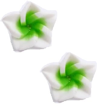 1 Paar FIMO Blüten Ohrstecker weiß neon grün im weißen...