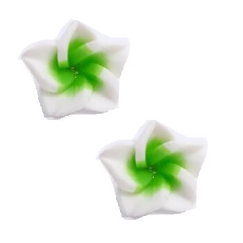1 Paar FIMO Blüten Ohrstecker weiß neon grün im weißen...
